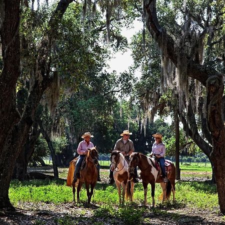 韦斯特盖特里弗兰奇竞技表演度假村 River Ranch 外观 照片