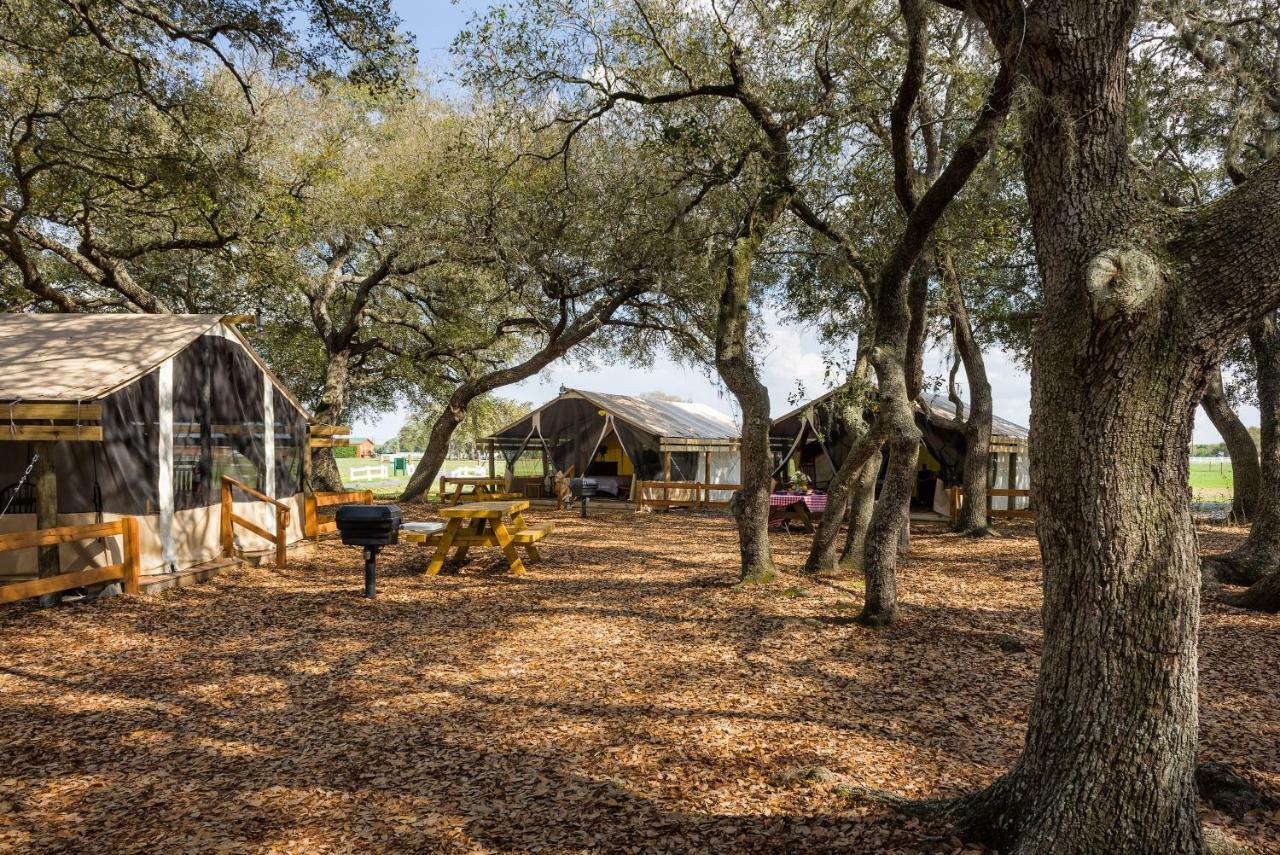 韦斯特盖特里弗兰奇竞技表演度假村 River Ranch 外观 照片